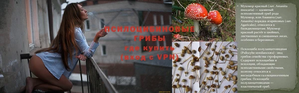 гидропоника Алексеевка
