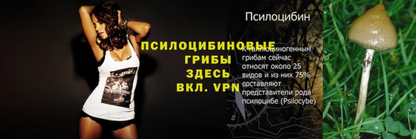 гидропоника Алексеевка